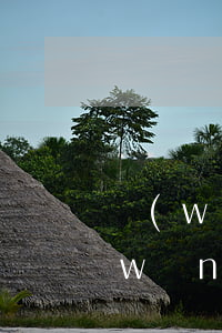 網(wǎng)貸逾期幾天不影響征信(網(wǎng)貸逾期一個星期會上征信嗎)