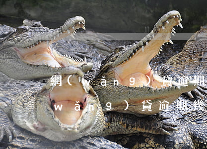 網(wǎng)貸逾期幾天了怎么辦呢(網(wǎng)貸逾期幾個小時)