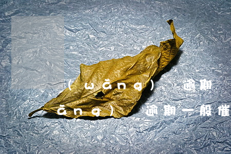 網(wǎng)貸逾期幾天催收囂張(網(wǎng)貸逾期一般催收多久才會停止)