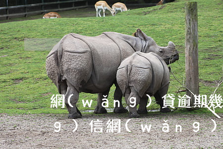 網(wǎng)貸逾期幾天才上網(wǎng)信(網(wǎng)貸逾期多久)