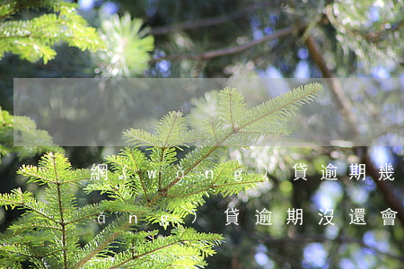 網(wǎng)貸逾期幾天會坐牢嗎(網(wǎng)貸逾期沒還會不會坐牢)
