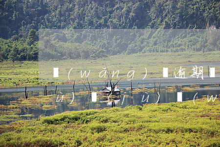 網(wǎng)貸逾期幾天能上大數(shù)據(jù)(網(wǎng)貸大數(shù)據(jù)多久會清一次)