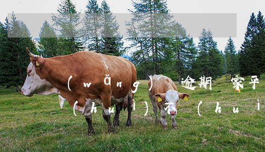 網(wǎng)貸逾期幾家平臺(tái)會(huì)不會(huì)聯(lián)合起訴-網(wǎng)貸逾期幾家平臺(tái)會(huì)不會(huì)聯(lián)合起訴呢