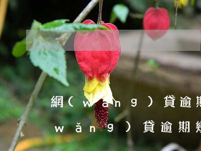 網(wǎng)貸逾期幾年了還沒起訴(網(wǎng)貸逾期幾年了還沒起訴)
