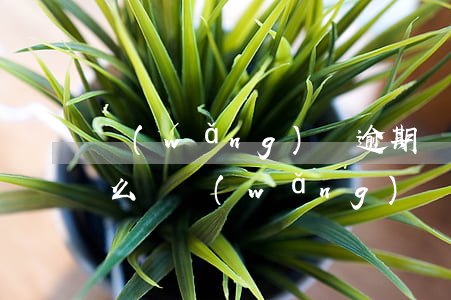 網(wǎng)貸逾期幾年會(huì)怎么樣(網(wǎng)貸逾期幾年會(huì)怎么樣)