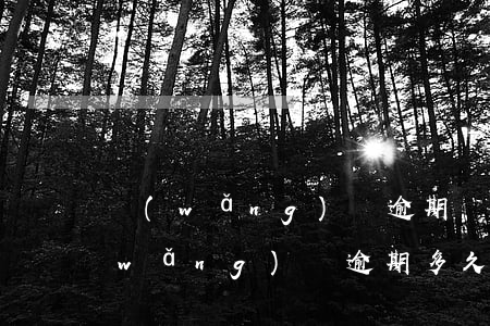 網(wǎng)貸逾期幾年法院不受理 網(wǎng)貸逾期多久法院不受理