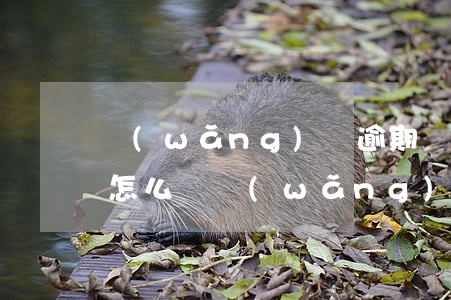 網(wǎng)貸逾期幾百元會(huì)怎么樣(網(wǎng)貸幾千塊錢逾期會(huì)立案嗎)