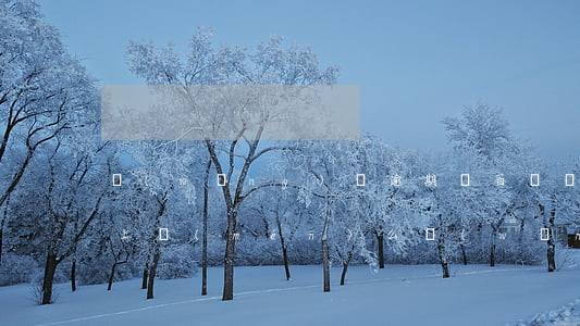 網(wǎng)貸逾期幾百塊會(huì)上門(mén)么(網(wǎng)貸逾期幾百塊會(huì)怎么樣)