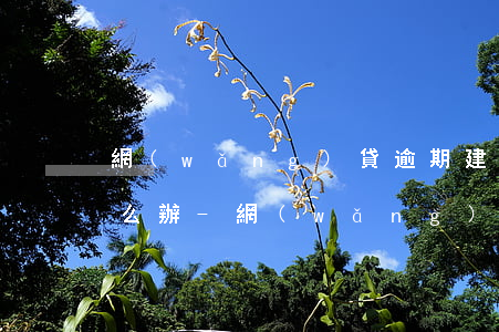 網(wǎng)貸逾期建設信用卡停封了怎么辦-網(wǎng)貸逾期建設信用卡停封了怎么辦呢