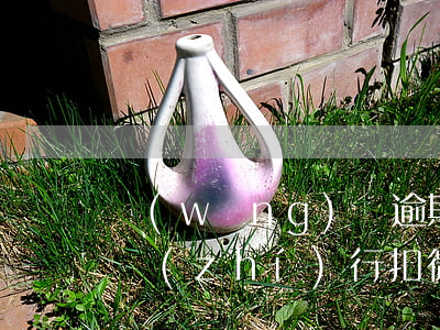 網(wǎng)貸逾期強(qiáng)制執(zhí)行扣微信的錢嗎(網(wǎng)貸逾期了會(huì)凍結(jié)微信上的錢嘛)