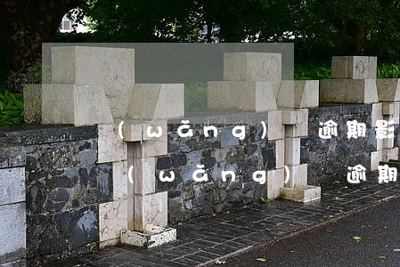 網(wǎng)貸逾期影不影響辦理信用卡(網(wǎng)貸逾期和辦理信用卡影響大不大)