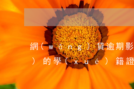 網(wǎng)貸逾期影響上小學(xué)的學(xué)籍證明嗎-網(wǎng)貸逾期影響上小學(xué)的學(xué)籍證明嗎怎么辦