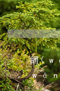 網(wǎng)貸逾期影響上班工作嗎(網(wǎng)貸逾期會(huì)影響找工作嗎)