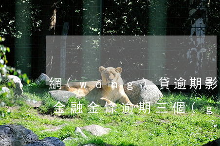 網(wǎng)貸逾期影響京東金條嗎(京東金融金條逾期三個(gè)月了,會(huì)不會(huì)被起訴)