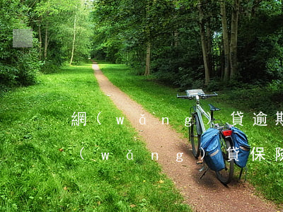 網(wǎng)貸逾期影響保險貸款么(有網(wǎng)貸保險的時候會有影響么)