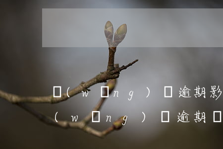 網(wǎng)貸逾期影響信用卡提額不(網(wǎng)貸逾期會(huì)影響信用卡降額嗎)