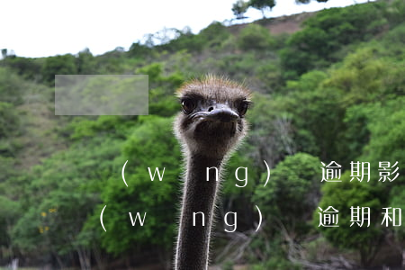 網(wǎng)貸逾期影響信用卡額度么(網(wǎng)貸逾期和信用卡逾期,哪個后果更嚴重?)