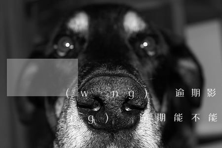 網(wǎng)貸逾期影響坐汽車嗎(網(wǎng)貸逾期能不能坐汽車)