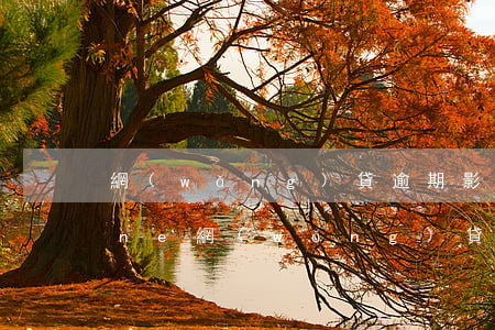 網(wǎng)貸逾期影響坐車(chē)ne(網(wǎng)貸逾期影響坐車(chē)ne)
