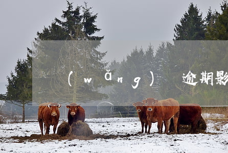 網(wǎng)貸逾期影響專升本么