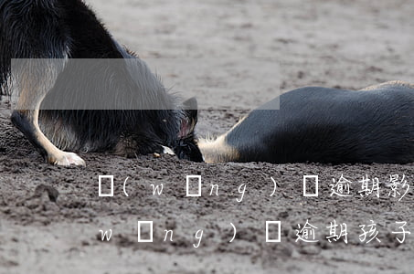 網(wǎng)貸逾期影響小孩讀書嗎（網(wǎng)貸逾期孩子可以上學(xué)嗎）