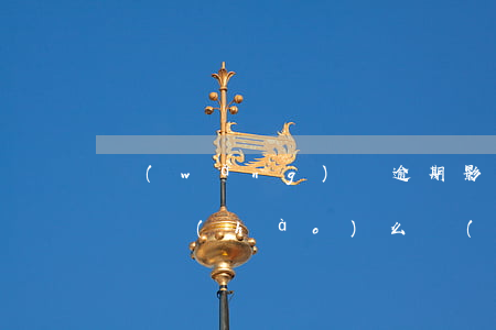 網(wǎng)貸逾期影響小車(chē)搖號(hào)么(網(wǎng)貸逾期會(huì)影響買(mǎi)車(chē)貸款嗎)