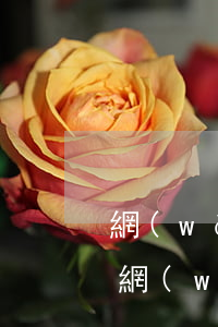 網(wǎng)貸逾期影響征信后果(征信上網(wǎng)貸逾期有什么影響)