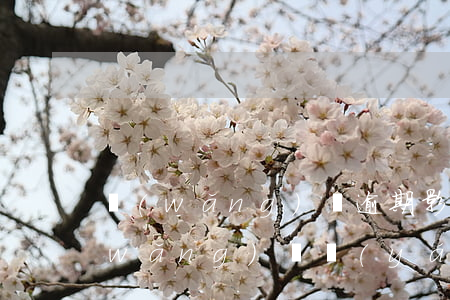 網(wǎng)貸逾期影響房屋拆遷嗎(網(wǎng)貸嚴(yán)重逾期對(duì)以后有什么影響)