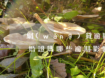 網(wǎng)貸逾期影響拿結(jié)婚證嗎(哪些逾期影響領(lǐng)結(jié)婚證)