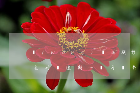 網(wǎng)貸逾期影響支付寶信用分嗎(支付寶逾期一個月會影響信用分嗎)