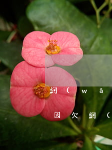 網(wǎng)貸逾期影響教師招聘嗎(教師因欠網(wǎng)貸被辭退)