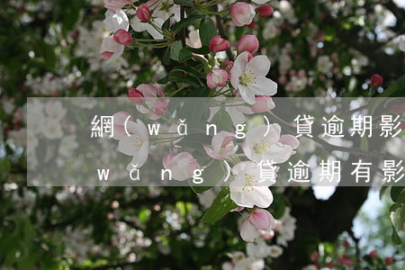 網(wǎng)貸逾期影響正常房貸嗎(網(wǎng)貸逾期有影響嗎)