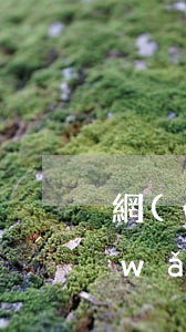 網(wǎng)貸逾期影響考編政審嗎(網(wǎng)貸逾期影響考編政審嗎)