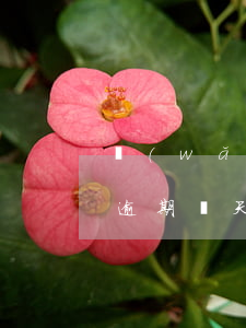 網(wǎng)貸逾期影響花唄提額嗎(花唄逾期兩天還款會(huì)影響花唄額度嗎?)