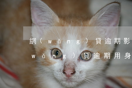 網(wǎng)貸逾期影響補身份證嗎(網(wǎng)貸逾期用身份證會不會影響)