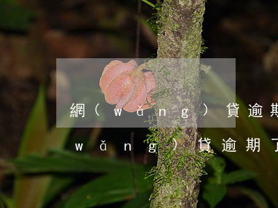 網(wǎng)貸逾期影響買房貸款嘛(網(wǎng)貸逾期了影響房貸嗎)