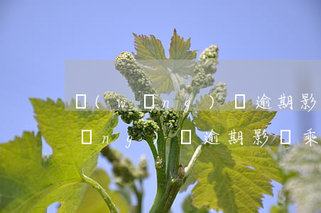 網(wǎng)貸逾期影響買票嗎-網(wǎng)貸逾期影響乘車嗎