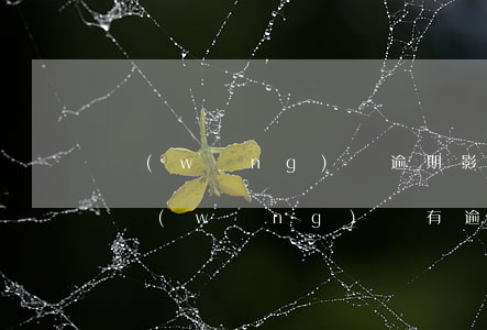 網(wǎng)貸逾期影響買車分期嗎(之前網(wǎng)貸有逾期,現(xiàn)在買車分期會(huì)不會(huì)不批)