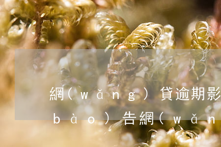 網(wǎng)貸逾期影響貸款嗎?(征信報(bào)告網(wǎng)貸逾期影響貸款嗎)