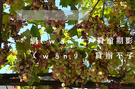 網(wǎng)貸逾期影響辦etc嗎(有網(wǎng)貸辦不了etc)