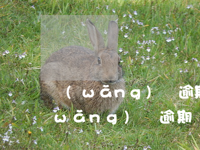 網(wǎng)貸逾期影響辦勞工證嗎(網(wǎng)貸逾期會(huì)影響工作嗎)