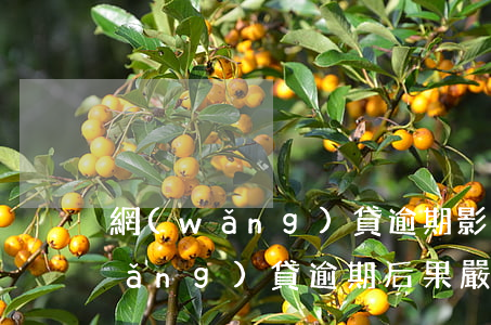 網(wǎng)貸逾期影響辦寬帶嗎(網(wǎng)貸逾期后果嚴重嗎)