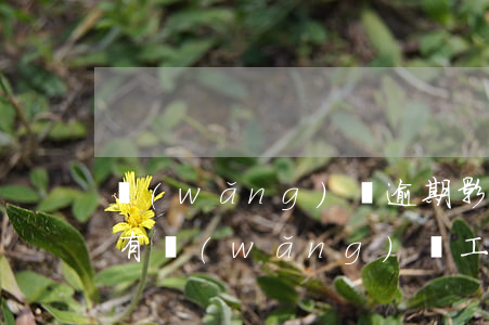 網(wǎng)貸逾期影響辦工行信用卡嗎(有網(wǎng)貸工行信用卡可以申請嗎)