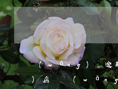 網(wǎng)貸逾期影響開網(wǎng)店嗎(網(wǎng)貸逾期真的會(huì)上門嗎)