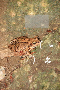 網(wǎng)貸逾期影響高考報(bào)名嗎(高三學(xué)生有網(wǎng)貸會(huì)影響高考嗎)