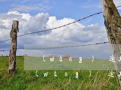 網(wǎng)貸逾期往家門口扔了信封(網(wǎng)貸逾期往家里寄通告函)