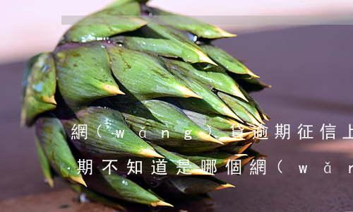 網(wǎng)貸逾期征信上怎么查(征信逾期不知道是哪個網(wǎng)貸)