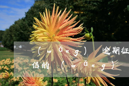 網(wǎng)貸逾期征信上沒顯示(沒上征信的網(wǎng)貸逾期還會上征信么)