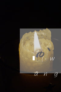 網(wǎng)貸逾期征信也有逾期(網(wǎng)貸逾期就會(huì)上征信嗎)