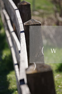 網(wǎng)貸逾期征信可以恢復(fù)嗎(網(wǎng)貸逾期了怎么恢復(fù)信用)